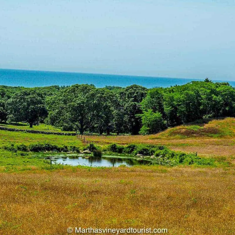 Rolling hills bounded by the Atlantic Ocean, a typical Chilmark scene.