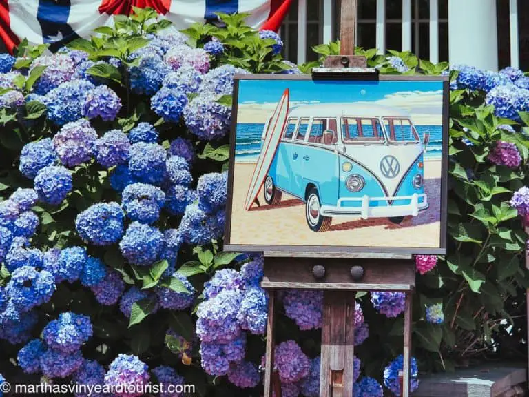The Ultimate List Of Great Things To Do on Martha’s Vineyard