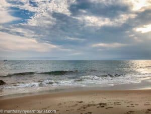 The 10 Best Martha's Vineyard Beaches