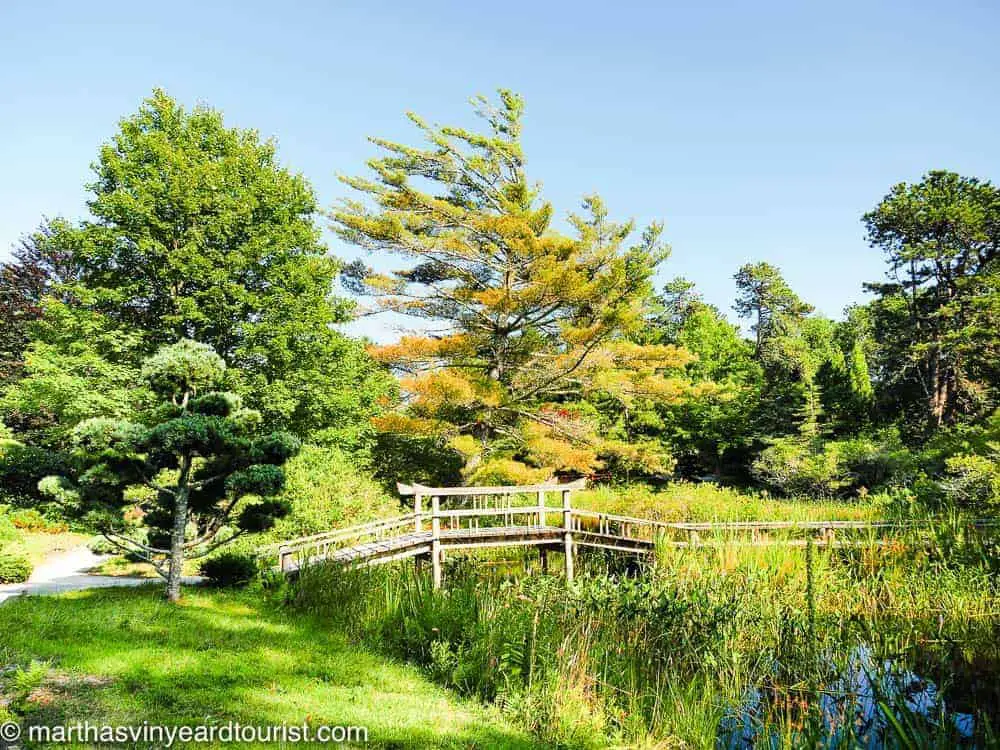 a Japanese garden and bridge at Mytoi Gardens in Chappaquidick, Martha’s Vineyard