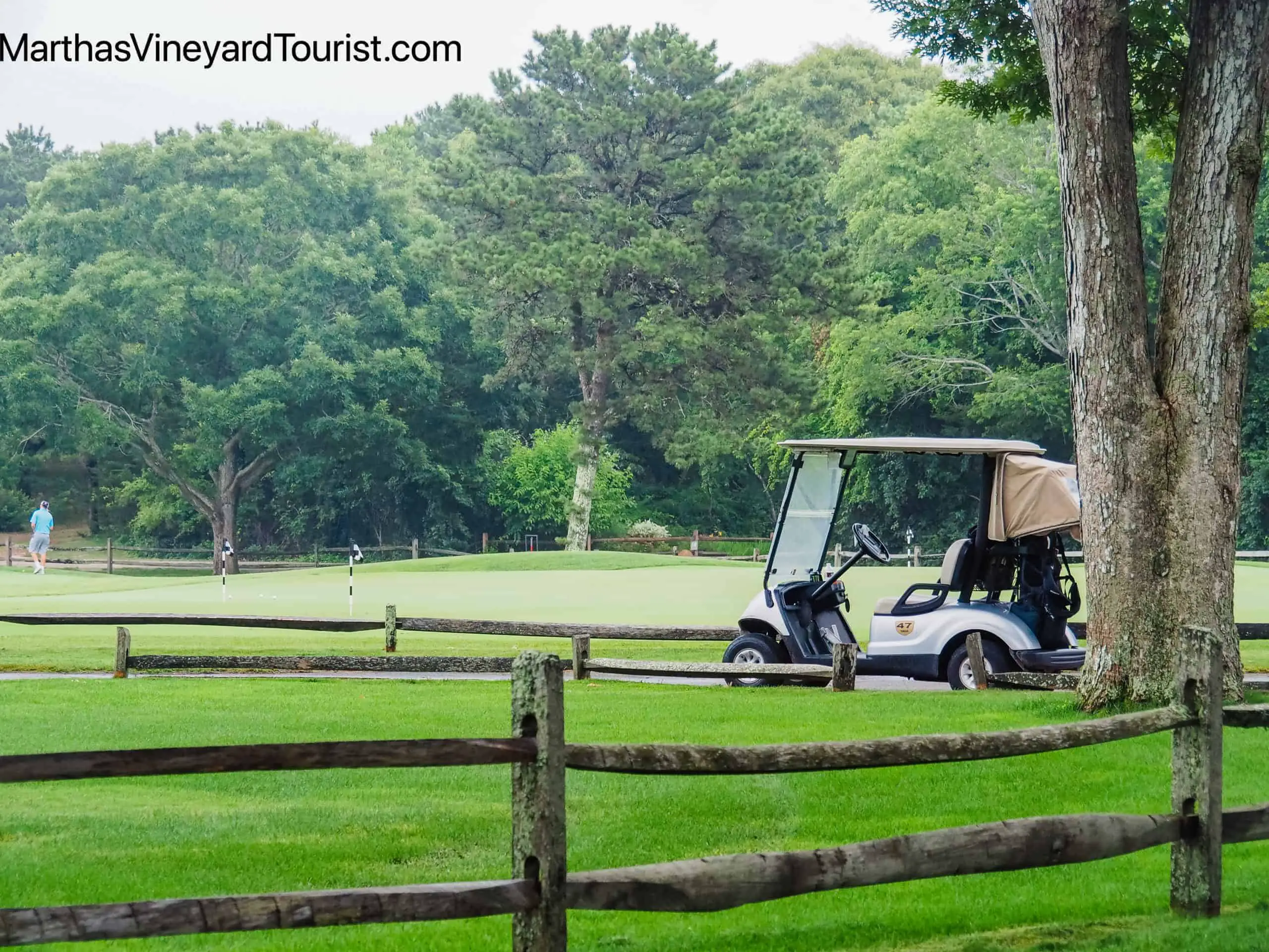 a golf cart on a golf course in Martha's Vineyard