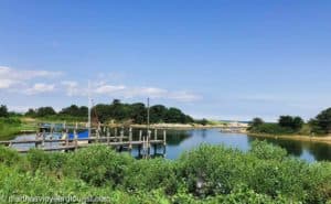pier on the pond