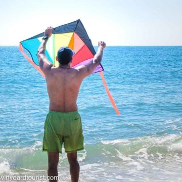 man flying a kite at the beach