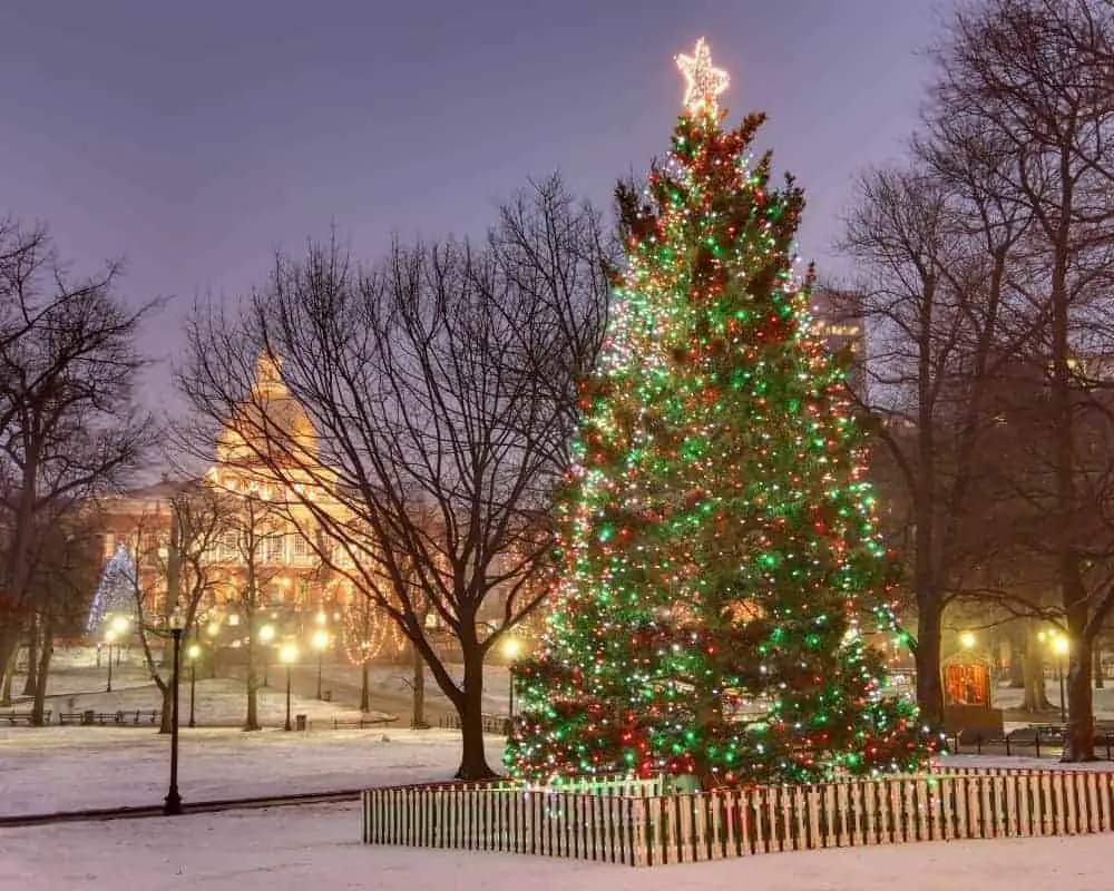 The Christmas tree in Boston Common