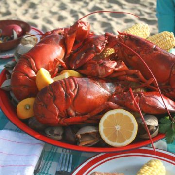 lobster on a plate during a clambake beach picnic