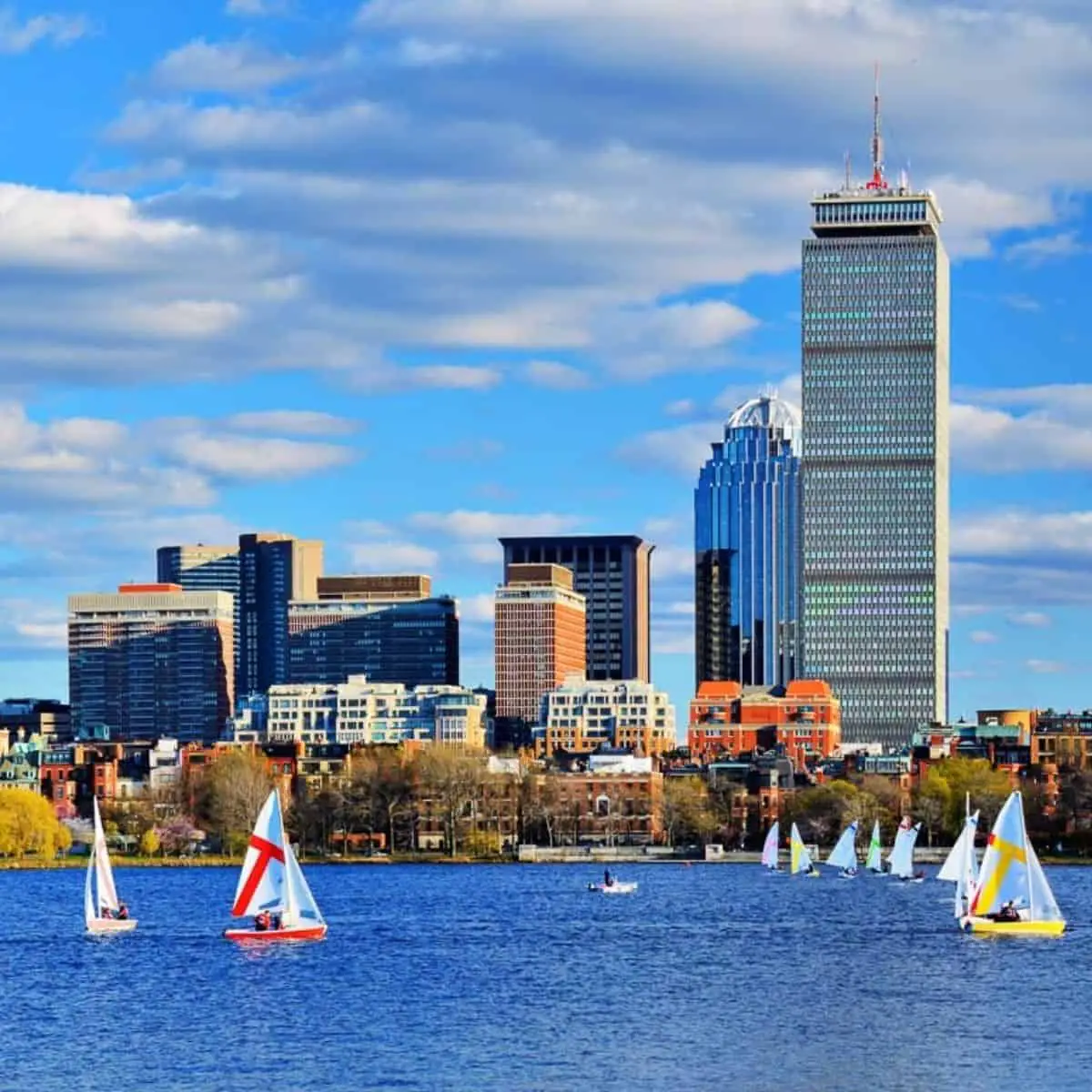 sailboats in Bostonharbor
