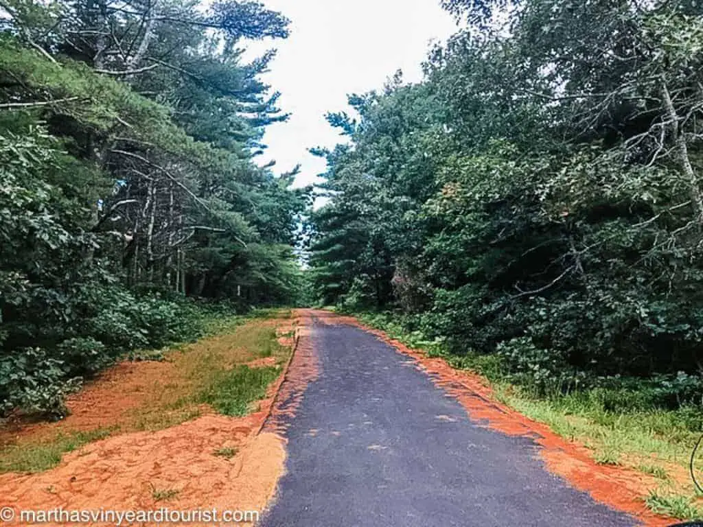 12 Great State Forests In Massachusetts For Year Round Fun!