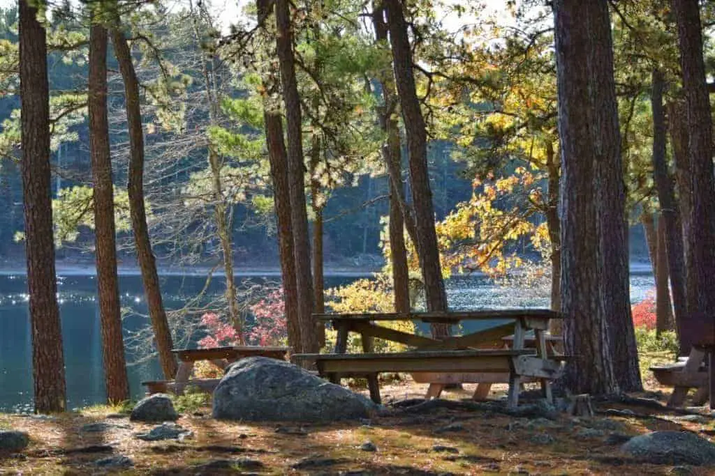 12 Great State Forests In Massachusetts For Year Round Fun!