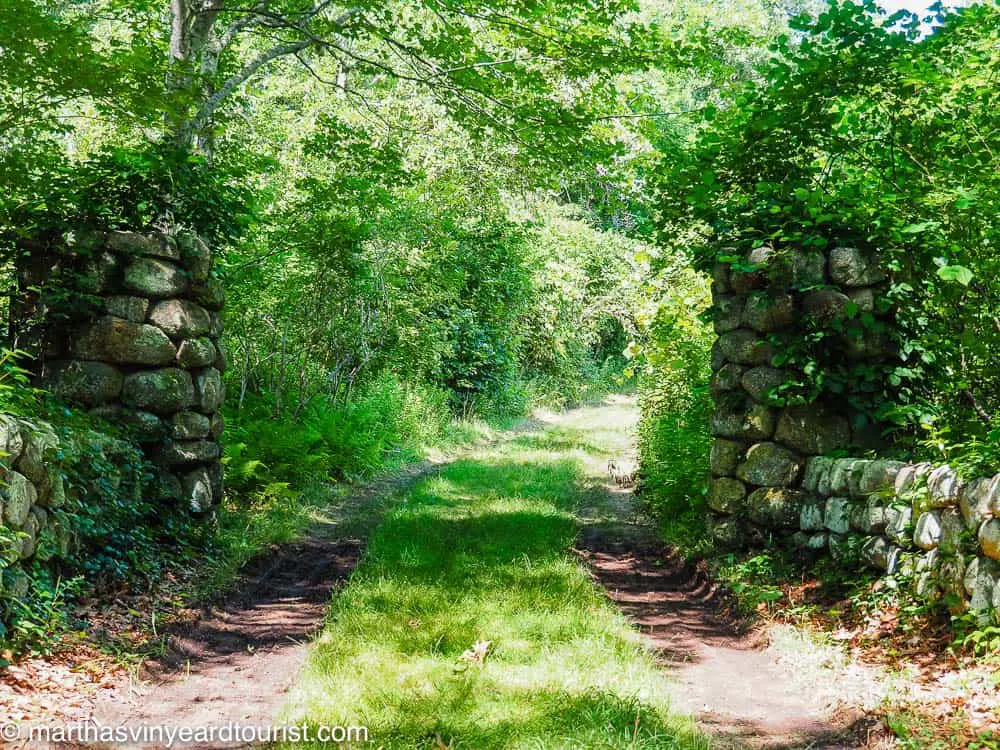 7 Scenic Martha's Vineyard Hikes (+ A Guide To Hiking Martha's Vineyard)