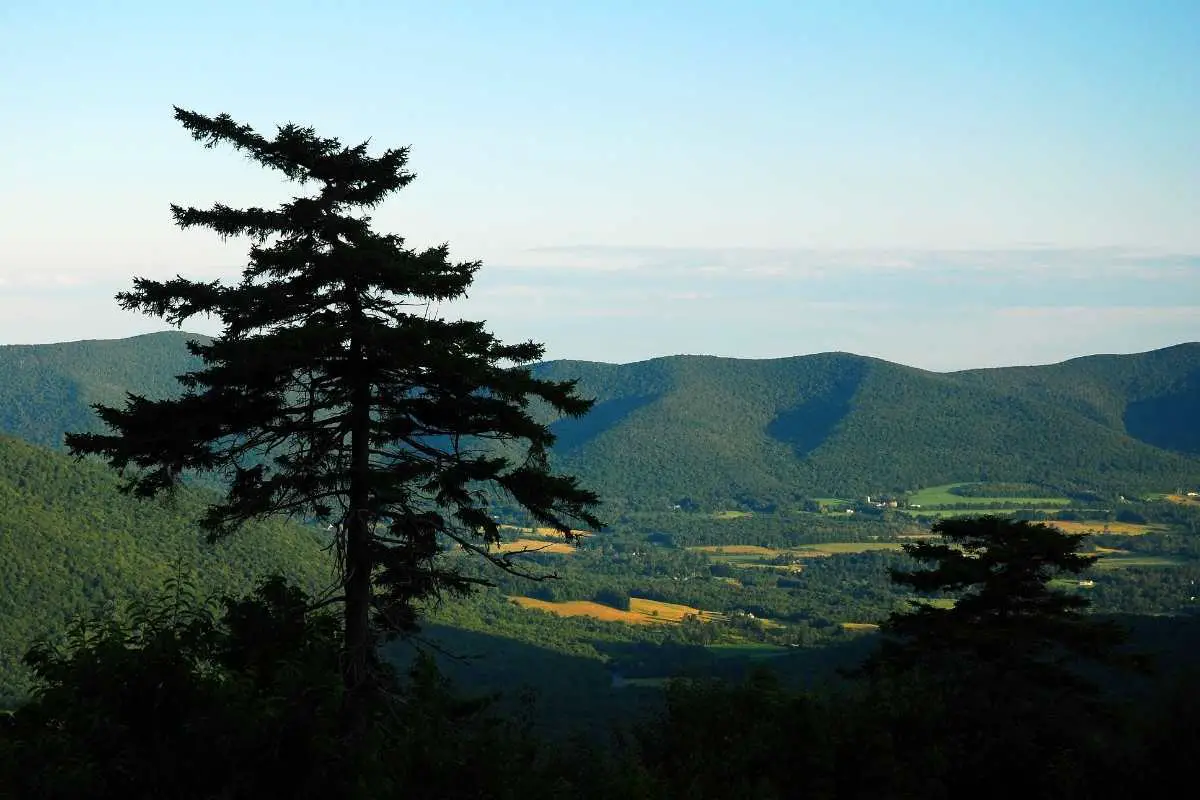 view from Mount Greylock 