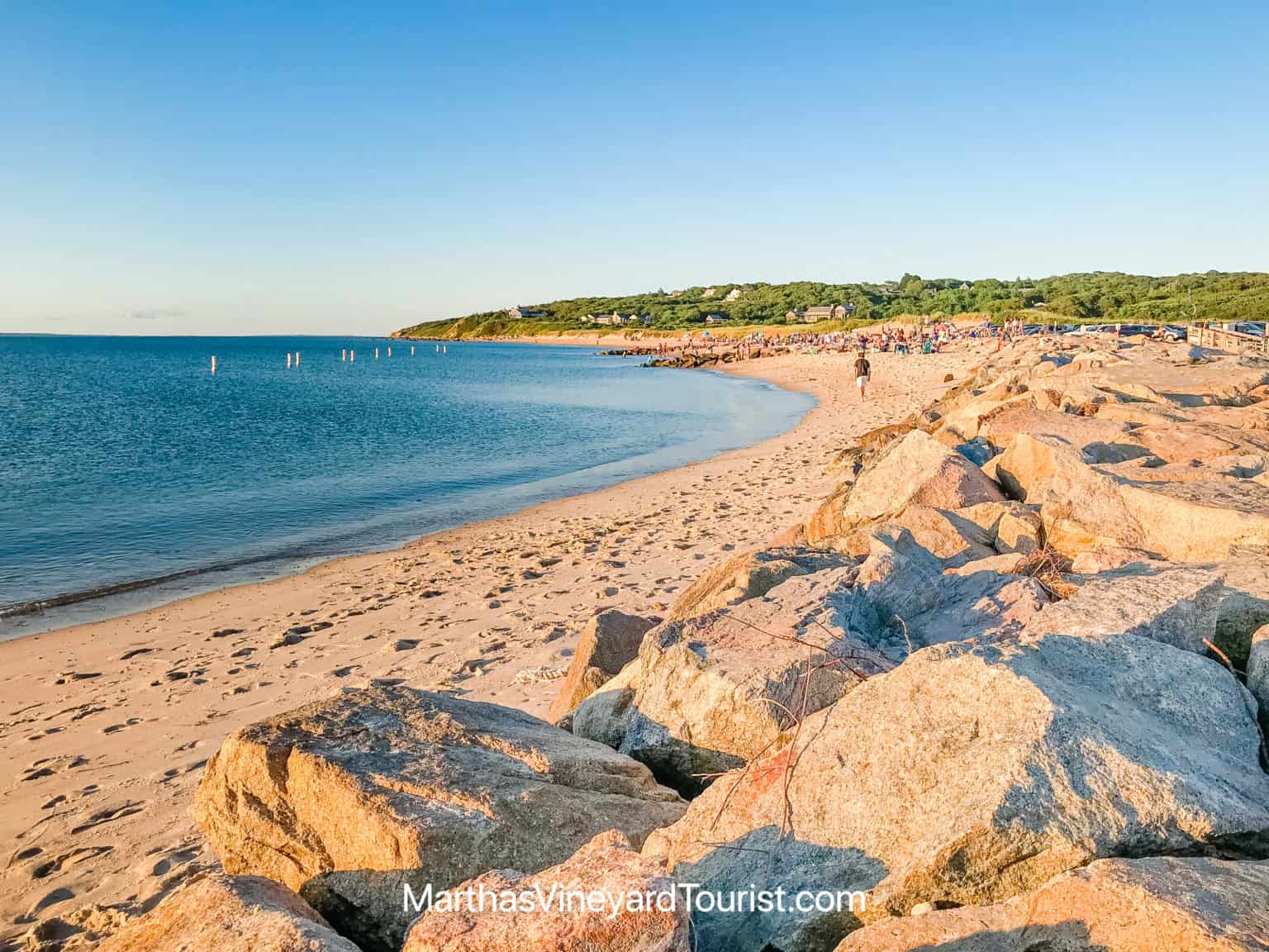 The 10 Best Martha's Vineyard Beaches