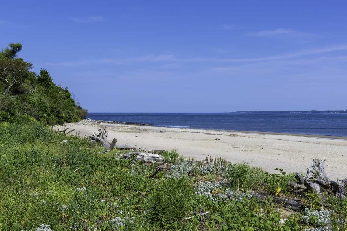 the beach at Sandy Point State Park on Plum Island Massachusetts