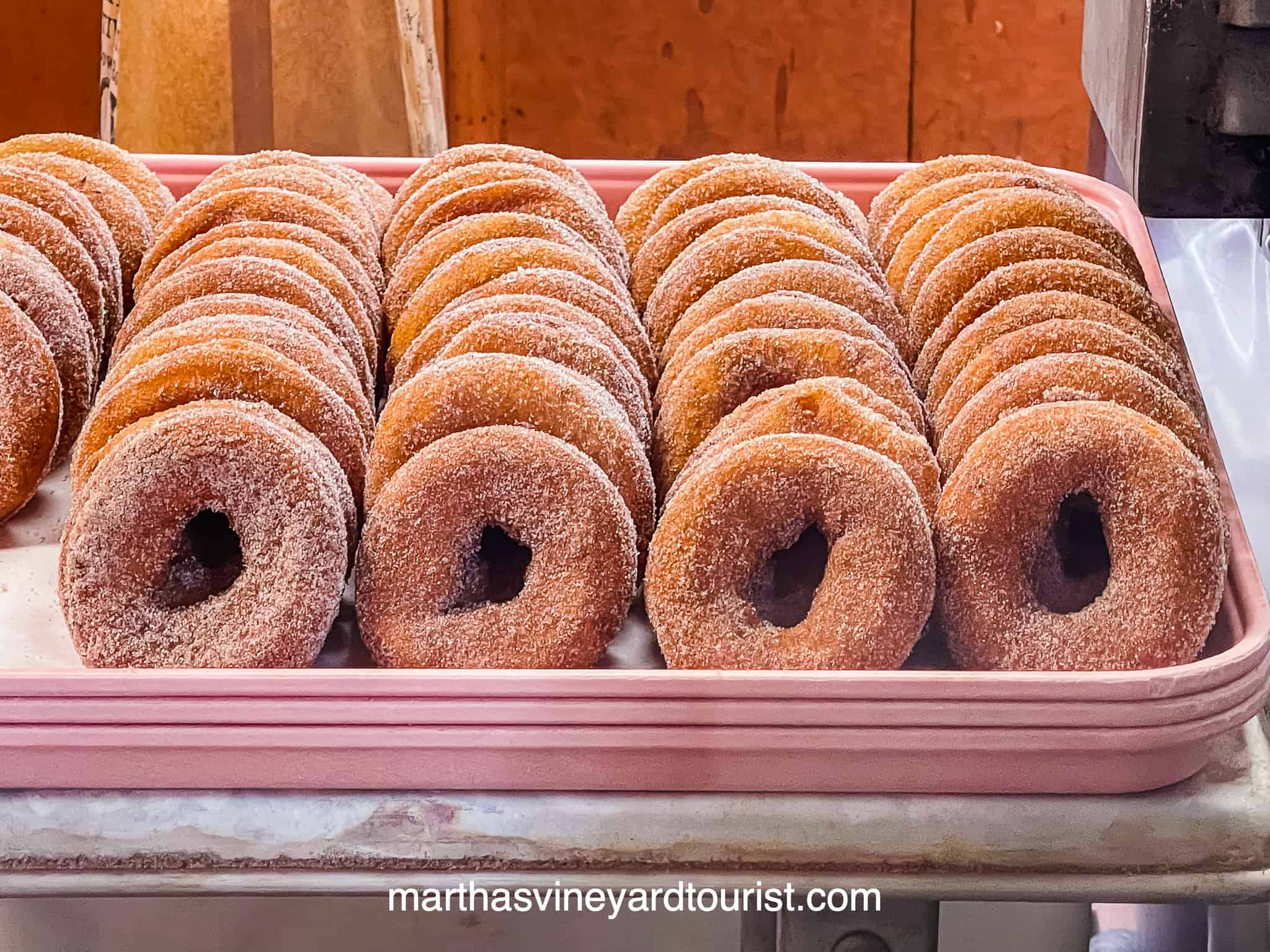 apple cider donuts on a tray