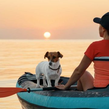 dog on inflatable kayak with a person in sunset