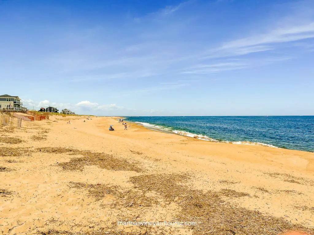 The 50 Best Things To Do in Newburyport MA (and Nearby!)