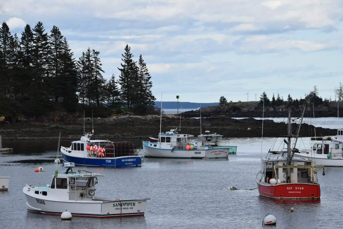 views of lobster boats in Penobscot Bay in Maine